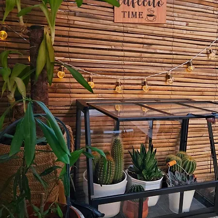 Séjour chez l'habitant River - Private Wc